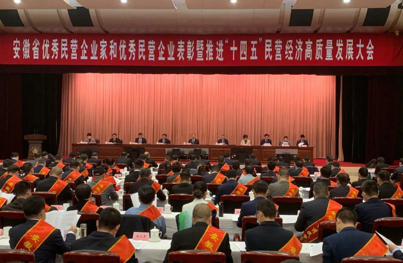 喜訊!元琛科技總經理梁燕被授予“安徽省優秀民營企業家”稱號 喜訊!元琛科技總經理梁燕被授予“安徽省優秀民營企業家”稱號